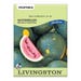 Livingston Seed Watermelon Moon/Stars (Heirloom) Seed