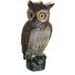 Backyard Expressions Garden Decoy Owl