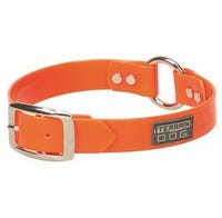 Terrain D.O.G. Brahma Webb Dog Collar Clear Coat Blaze Orange