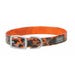 Terrain D.O.G. Brahma Webb Dog Collar Clear Coat