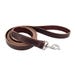 Coastal Pet Circle T Dog Leash Latigo Leather