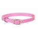 Coastal Pet Dog Collar Single-Ply Nylon