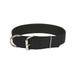 Coastal Pet Macho Dog Dog Collar with Roller Buckle Double-Ply Nylon