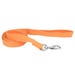 Coastal Pet New Earth Dog Leash Soy
