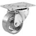 Plate Caster Swivel 3 in. Iron