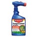 BioAdvanced Fungus Control for Lawns Ready to Use 32 oz.