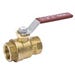 Ball Valve 1/2 in. FPT