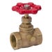 Gate Valve Threaded Stop and Waste 1/2 in. Brass