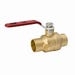 Stop and Waste Ball Valve 3/4 in. Forged Brass