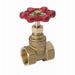 Gate Valve Threaded 3/4 in. Brass