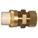 Transition Compression Union 1/2 in. Slip x BRS