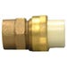 Transition Union 3/4 in. x 3/4 in. MPT CPVC