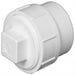 Cleanout/Plug 1-1/2 in.