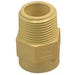 Adapter 3/4 in. MPT CPVC