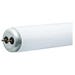 GE Lighting Westpointe Fluorescent Tube 48 in. Cool White 2 Pack