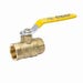 Ball Valve 2 in. FPT Forged Brass