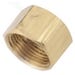 Compression Cap 1/2 in. Brass