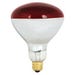 Poultry Heat Bulb 2 Pack 250 Watt Red