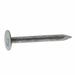 Roofing Nail 1 in. 1 lb. Galvanized