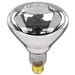 Poultry Heat Bulb 125 Watt Clear