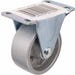 Plate Caster Rigid 2 in.