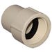 Adapter 3/4 in. FPT CPVC