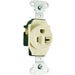 Single Receptacle Heavy Duty 20A Ivy