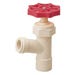 Boiler Drain 1/2 in. CPVC