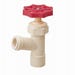 Boiler Drain 3/4 in. CPVC