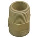 Male Adapter 1 in. CPVC