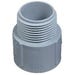 Terminal Adapter 1 in. PVC