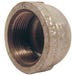 Cap 1/2 in. Galvanized