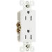 Decorator Duplex Receptacle 2-Pole 15A White