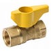 Ball Valve Gas 1/2 in. Brass