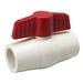 Ball Valve 1/2 in. CPVC