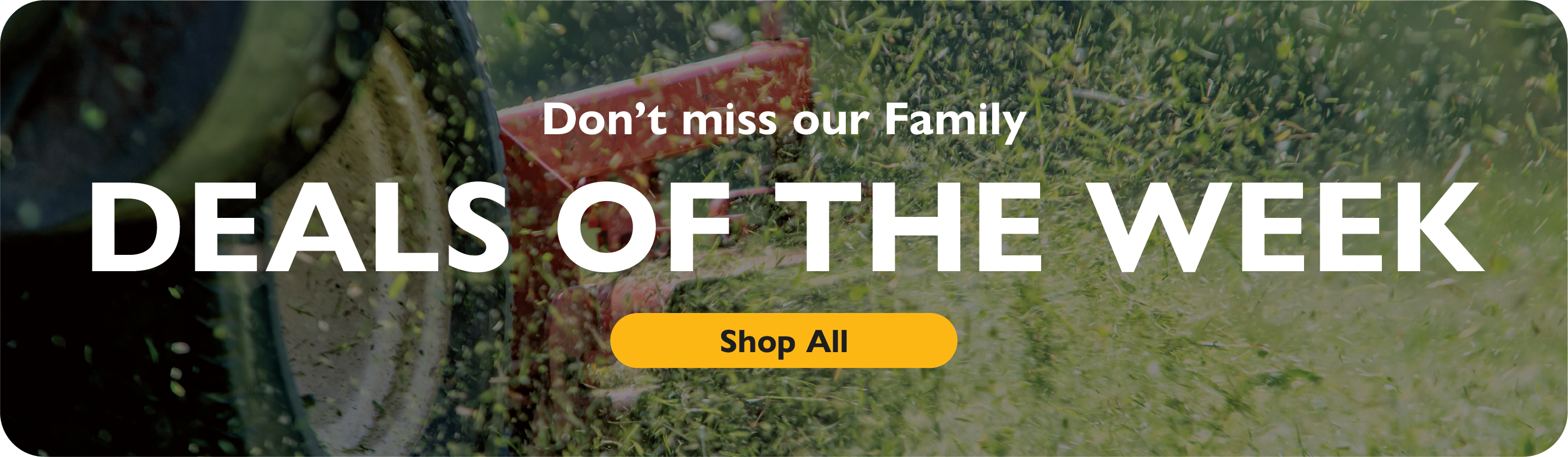 Don't Miss our Family Deals of the Week. Shop All.