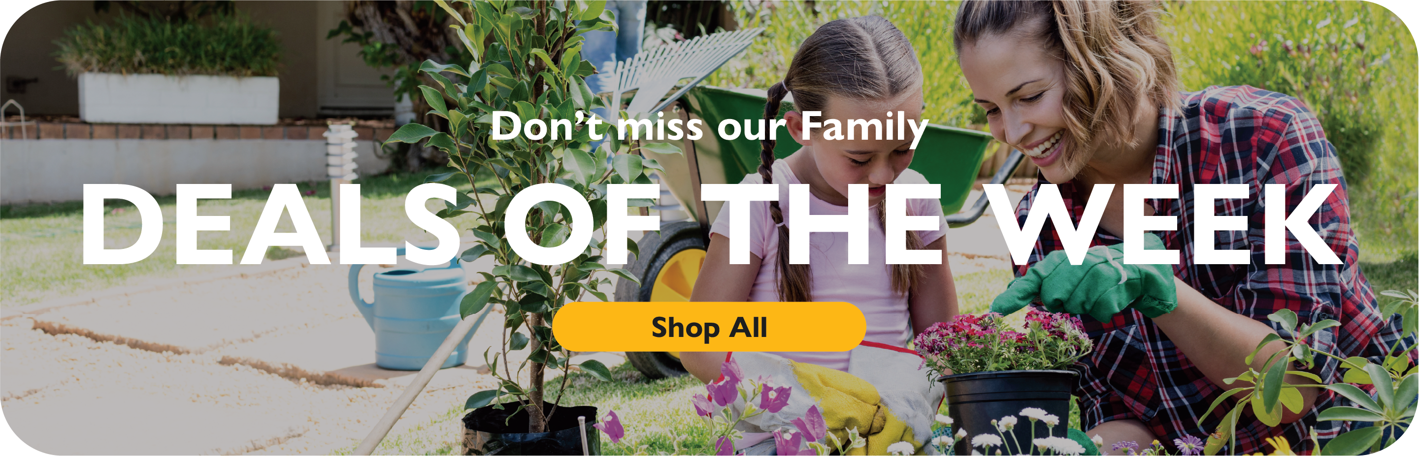 Don't Miss our Family Deals of the Week. Shop All.