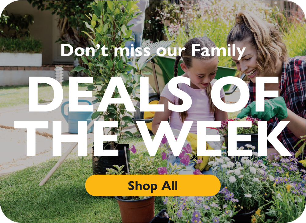 Don't Miss our Family Deals of the Week. Shop All.