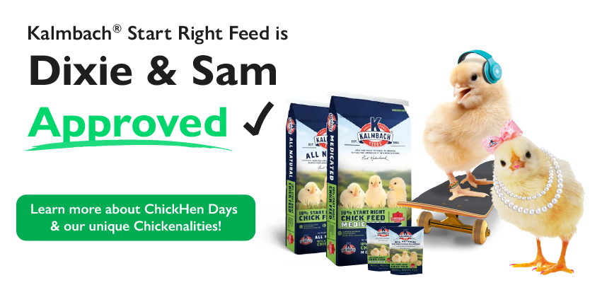 Kalmbach Start Right Feed is Dixie & Sam Approved! Learn more about ChickHen Days & our unique Chickenalities!