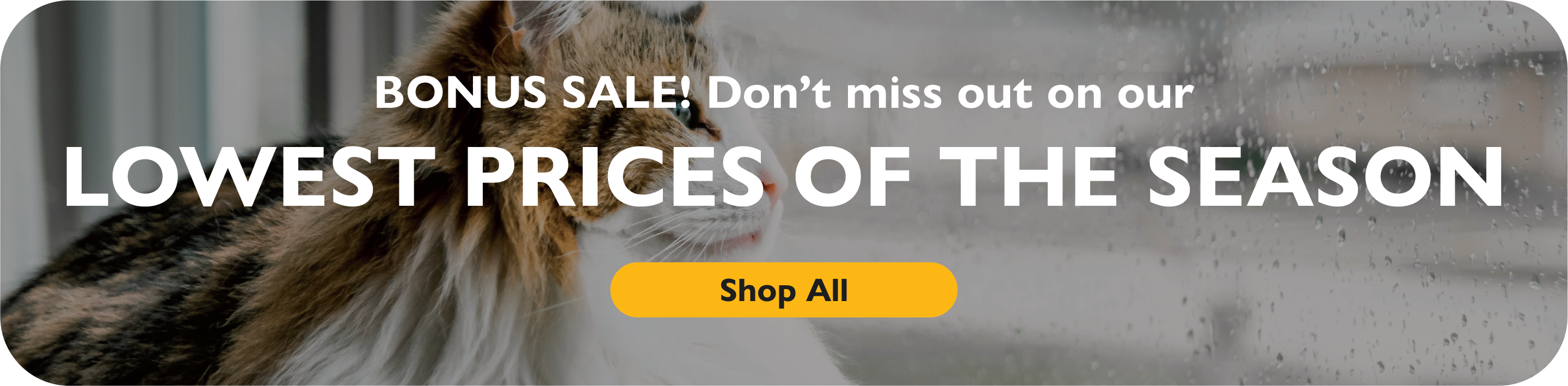 BONUS SALE! Don't miss out on ur lowest prices of the season! Shop all.