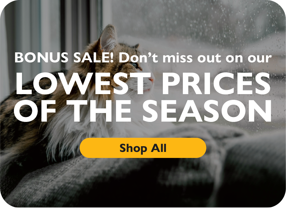BONUS SALE! Don't miss out on ur lowest prices of the season! Shop all.
