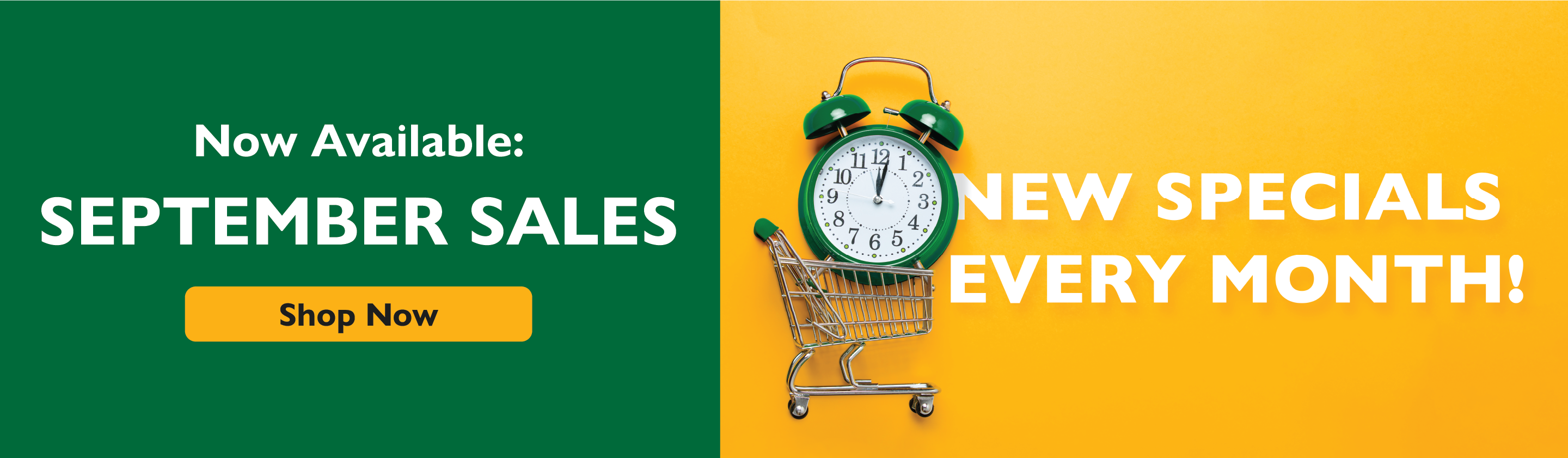 Now available: September sales. Shop Now. New specials every month!