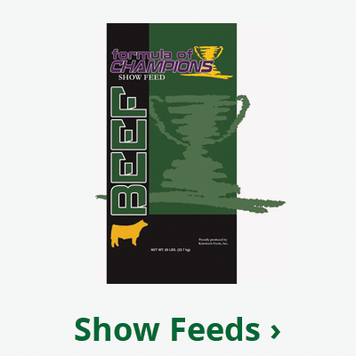 Show Feeds