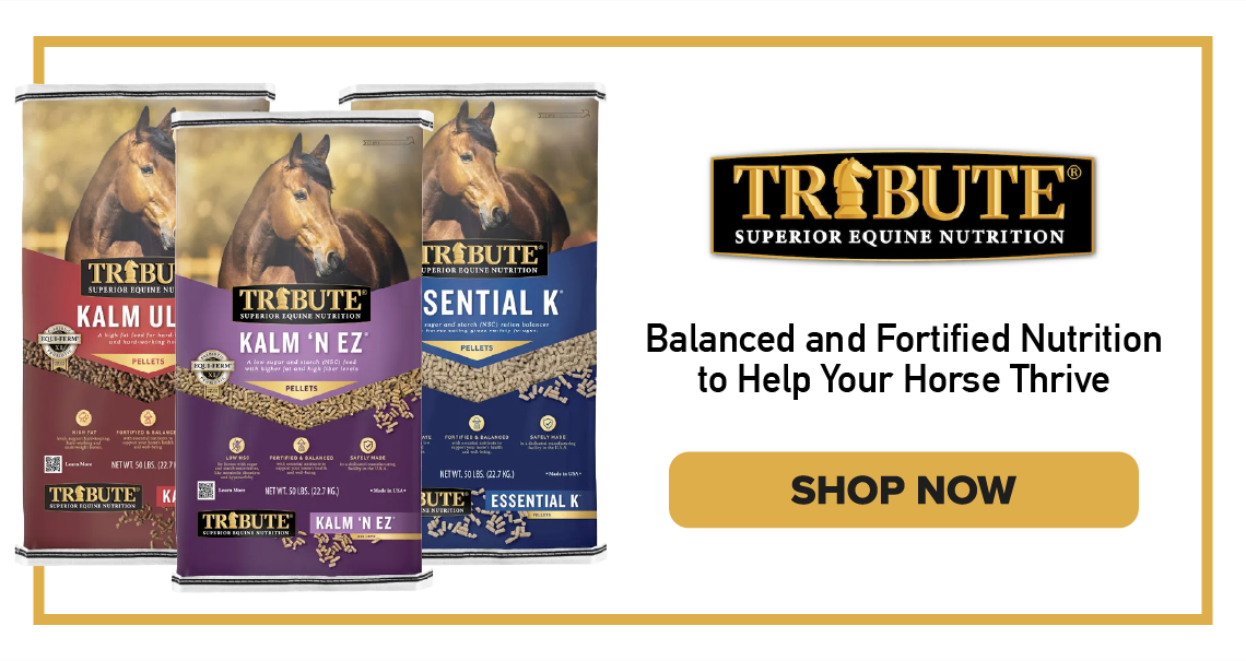 Tribute. Balanced and fortified nutrition to help your horse thrive. Shop Now.