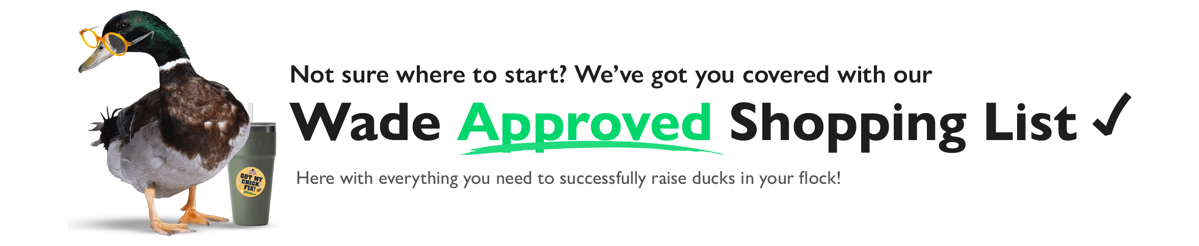 Not sure where to start? We've got you covered with our Wade Approved Shopping List. Here with everything you need to successfully raise your flock!