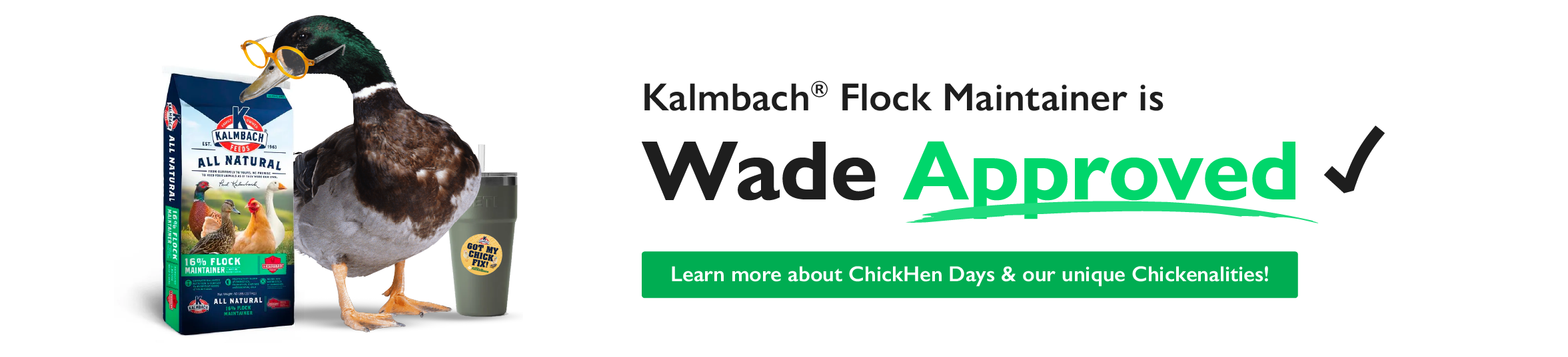 Kalmbach Flock Maintainer is Wade Approved! Learn more about ChickHen Days & our unique Chickenalities!