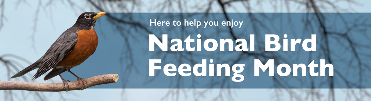 Here to help you enjoy National Bird Feeding Month