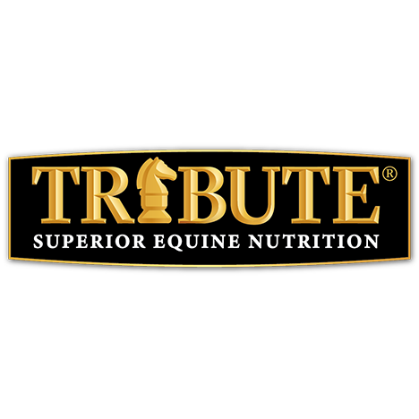 Tribute logo