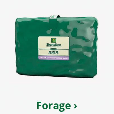 Forage