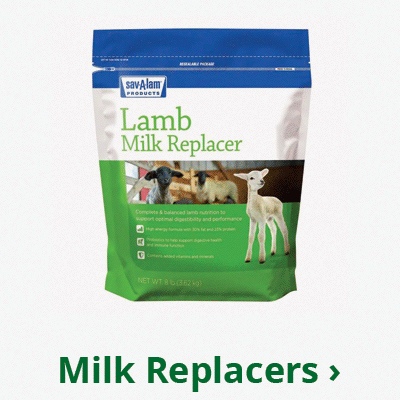 Milk Replacers